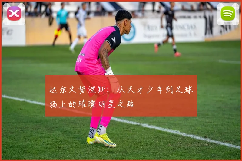 达尔文努涅斯：从天才少年到足球场上的璀璨明星之路