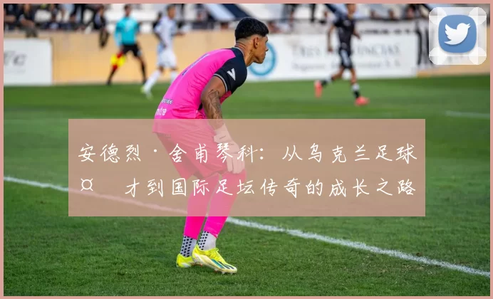 安德烈·舍甫琴科：从乌克兰足球天才到国际足坛传奇的成长之路