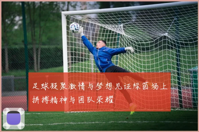 足球凝聚激情与梦想见证绿茵场上拼搏精神与团队荣耀
