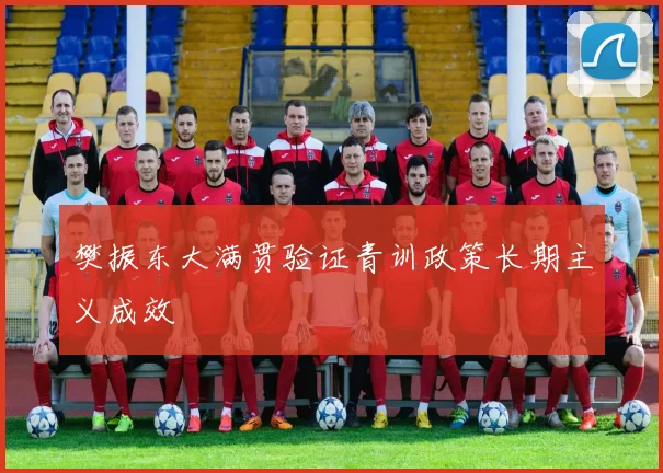 樊振东大满贯验证青训政策长期主义成效