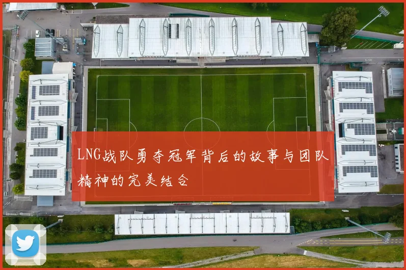 LNG战队勇夺冠军背后的故事与团队精神的完美结合