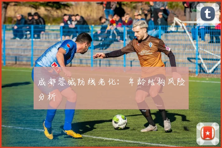 成都蓉城防线老化：年龄结构风险分析