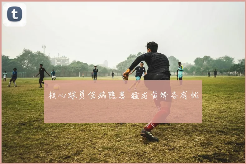 核心球员伤病隐患 猛龙黄蜂各有忧