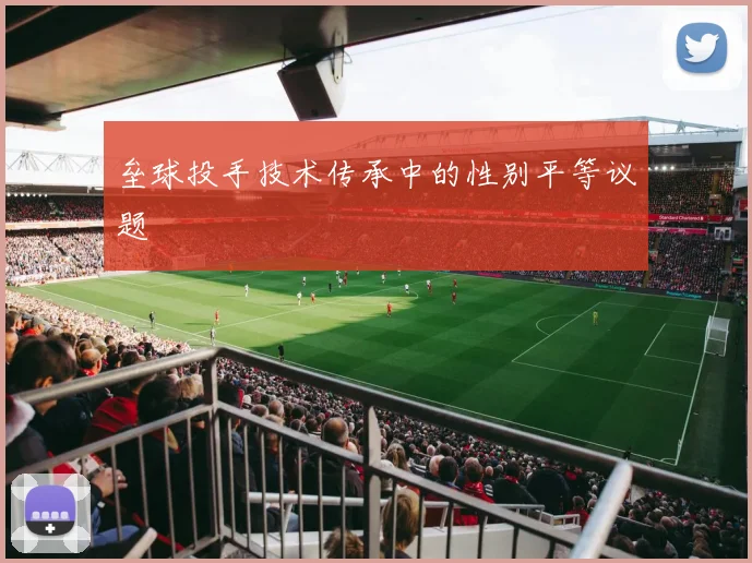 垒球投手技术传承中的性别平等议题