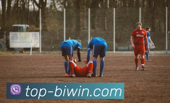 biwin平台生态图